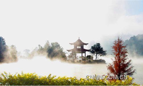 图十三：紫金山的雾