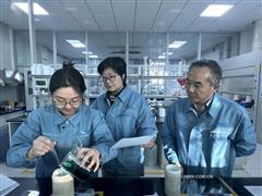 王蓁和她的创新团队：深耕锂材料 攻关不停歇